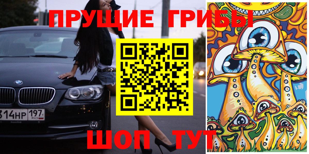 Псилоцибиновые грибы мицелий Владимир