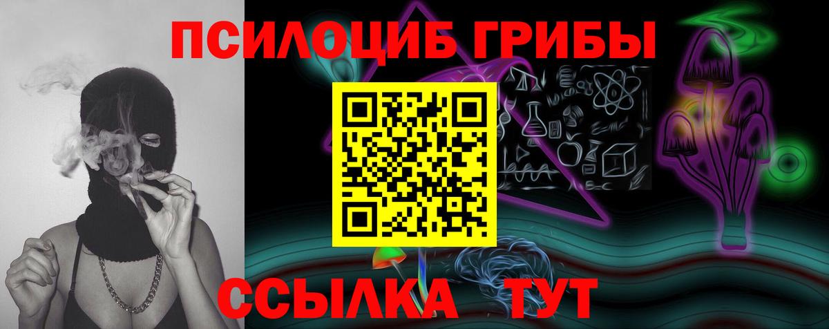 Псилоцибиновые грибы MAGIC MUSHROOMS  Вход с VPN  Владимир  Галлюциногенные грибы мицелий 